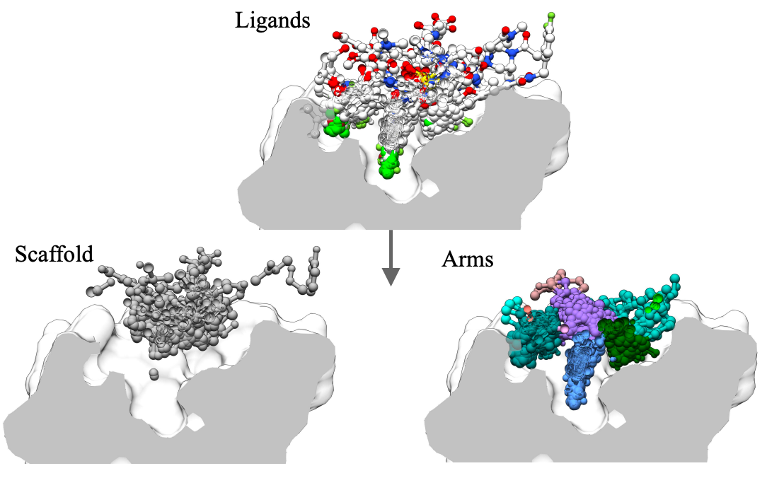 DecompDiff: Diffusion Models with Decomposed Priors for Structure-Based Drug Design