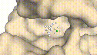 Integrating Protein Dynamics into Structure-Based Drug Design via Full-Atom Stochastic Flows